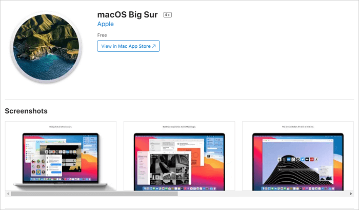 MacOS Big Sur Downloading page